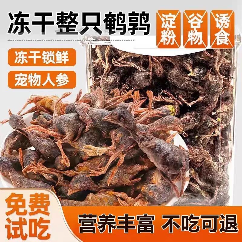 冻干鹌鹑猫咪宠物狗零食增肥发腮零食冻干粮生骨肉小鹌鹑猫咪零食