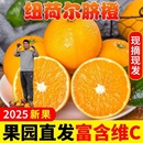 水果自然熟孕妇水果甜多汁 果园现摘脐橙纽荷尔橙新鲜当季 包邮