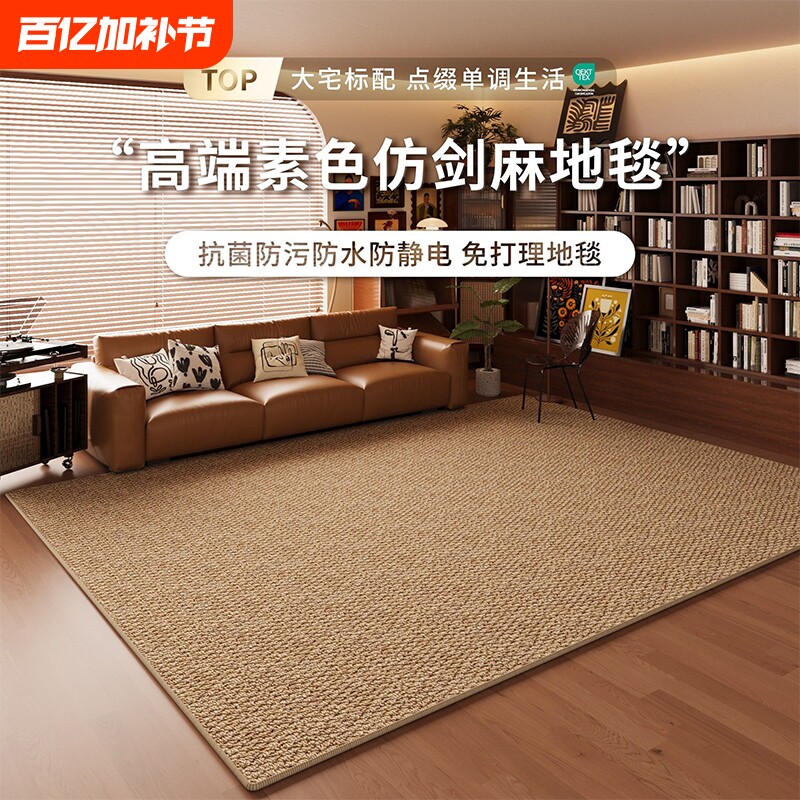 仿剑麻地毯客厅耐磨仿猫爪免洗侘寂中古风地垫奶油高级卧室床边毯
