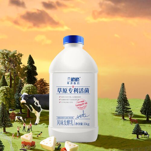 兰格格草原酸奶生牛乳活菌发酵即食简单健康营养早餐家庭装1kg