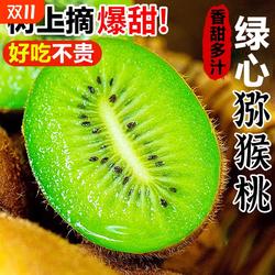 西峡猕猴桃新鲜包邮奇异果绿心大果孕妇时令水果产地直发果园现摘