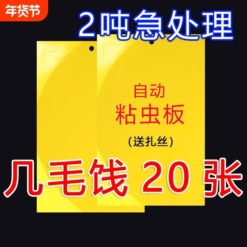 黄板双面粘虫板蓟马纸贴黄蓝飞虫小黑飞果园沾果蝇诱捕器粘板大棚,居家日用,粘蝇纸,淘宝优惠券,粉丝福利购,淘宝优惠卷