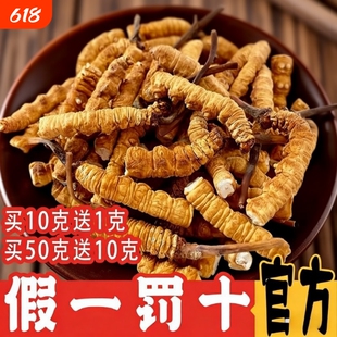 冬虫夏草2026西藏那曲头期大断草干货正宗官方旗舰店正品营养滋补