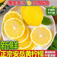 Anyue Yellow lemon fruit is a fresh fruit of the season. The fresh lemon yellow fruit is soaked in water, and the fresh fruit is directly grown. The whole box is freshly picked and juicy thumbnail 2