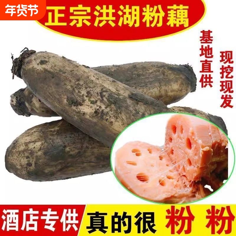 正宗湖北洪湖莲藕新鲜煲汤粉藕炖汤藕粉糯米藕火锅食材配菜桂花藕,水产肉类/新鲜蔬果/熟食,新鲜莲蓬,淘宝优惠券,粉丝福利购,淘宝优惠卷