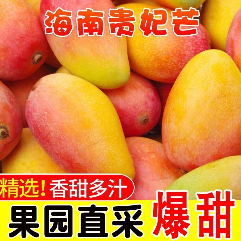 海南树上熟贵妃芒果当季新鲜水果三亚红金龙中大果芒果包邮热带