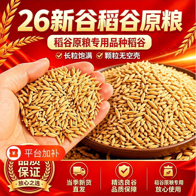 农家水稻谷子带壳大米新稻谷喂鸡鸭鹅仓鼠鸽鸟宠物饲料杂粮食玉米
