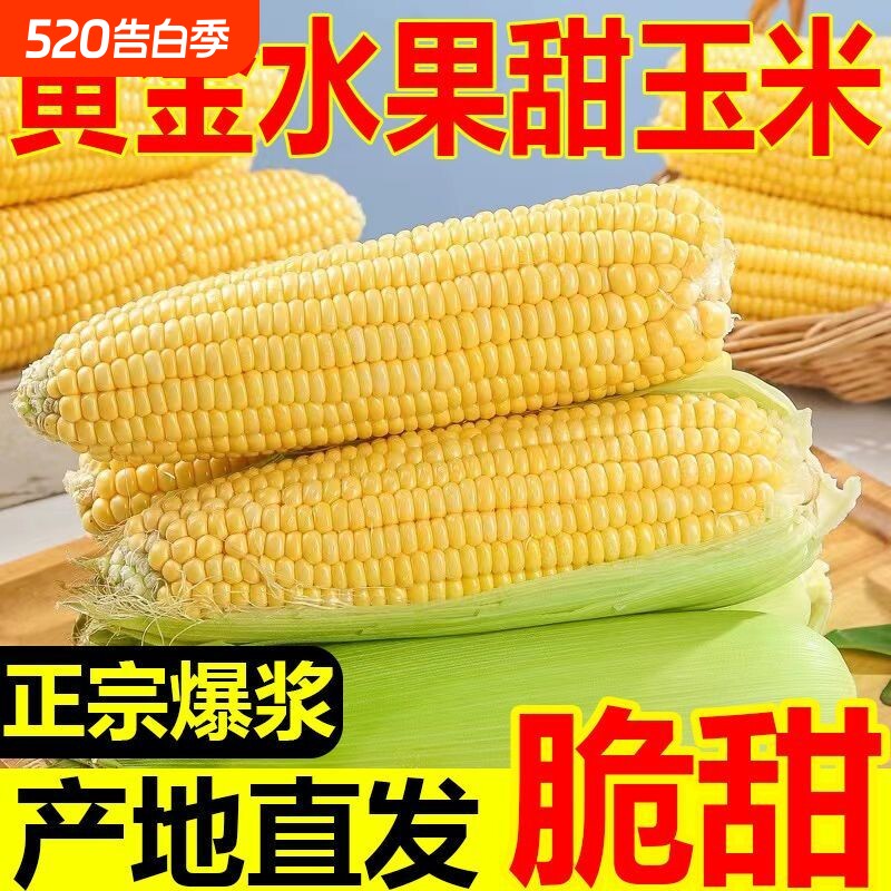 水果玉米新鲜香甜多汁现摘云南甜玉米9斤爆浆甜脆玉米黄金糯玉米