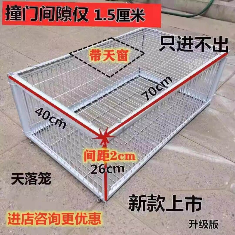 只进不出鸟笼全自动天落笼子撞户外抓鸽收子捕加密门可连续用
