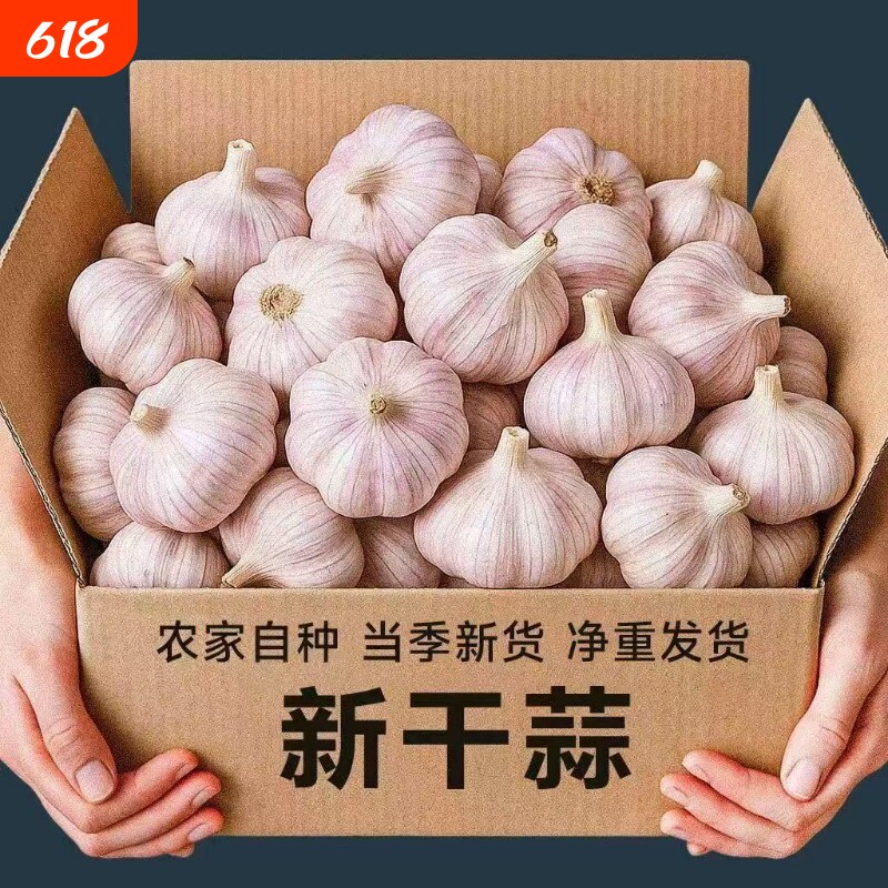 【金乡大蒜】新干蒜紫皮大蒜新鲜大蒜头紫皮大蒜批发优质蒜子便宜