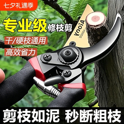 【园艺师推荐】园林专用修枝剪刀