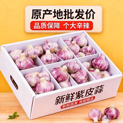 【脆爽鲜蒜】紫皮湿蒜云南现挖新鲜大蒜头多瓣蒜调味蔬菜辛辣