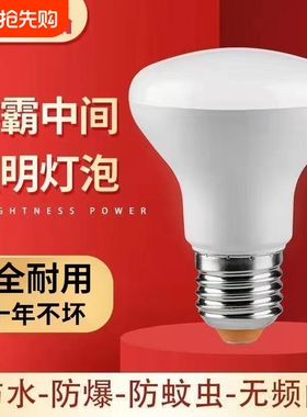 浴室专用防水LED灯可替代老式灯E27螺口 防爆耐用浴霸灯