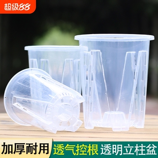 透明立柱盆加厚环保无异味透气防烂根圆形花盆简约大容量透水耐用