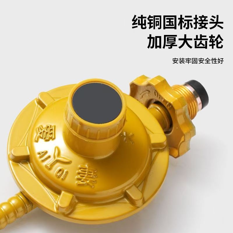 带表减压阀热水器煤气通用家用阀门带表煤气灶低压阀煤气减压阀