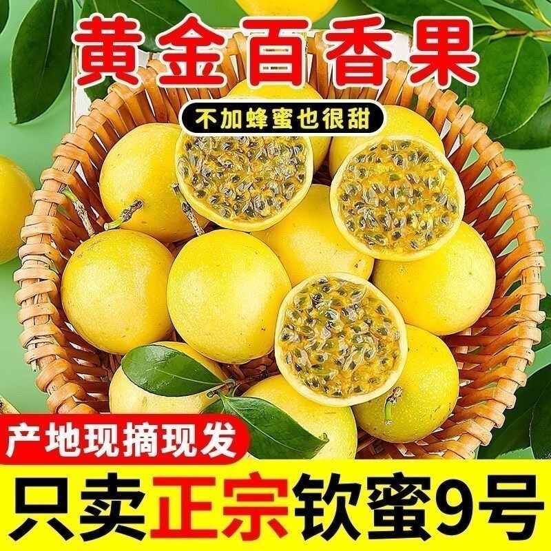 广西钦蜜9号黄金百香果新鲜应当季水果甜蜜多汁皱皮原浆现摘现发D
