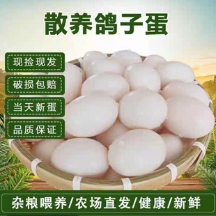 浙江新鲜鸽子蛋正品杂粮鸽蛋农家散养五谷草鸽蛋30枚个装非鹌鹑蛋