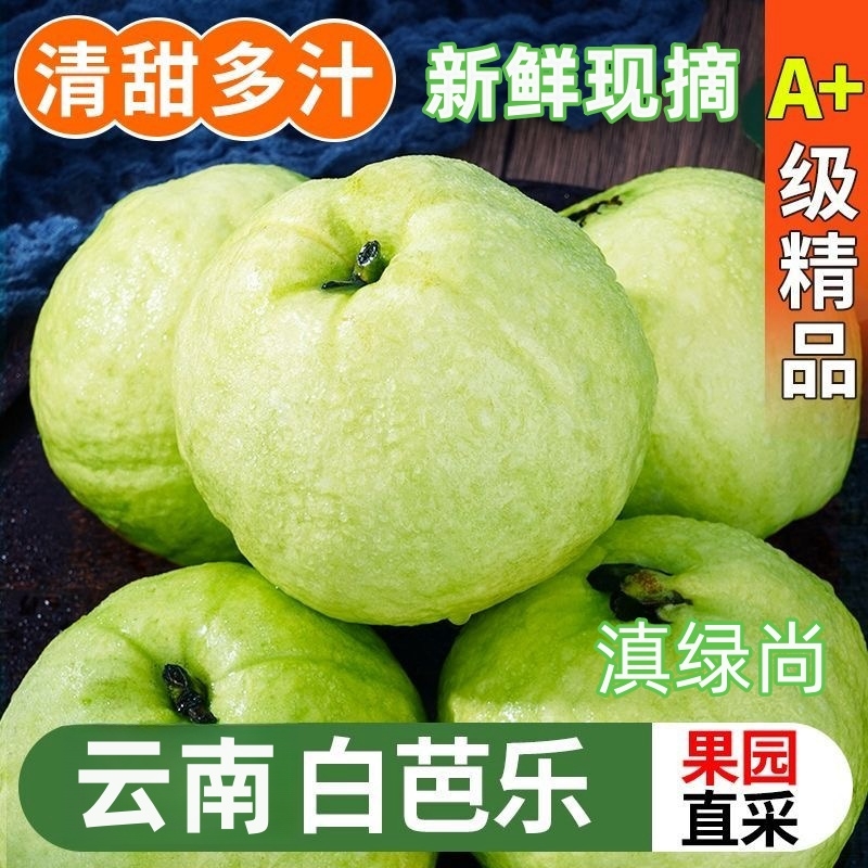 甄选云南高山番石榴白心芭乐南方四季果肉白细腻冰糖脆甜果园软糯