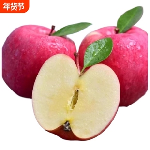 甘肃静宁正宗红富士新鲜苹果冰糖产地直发整箱精选现摘果园多汁