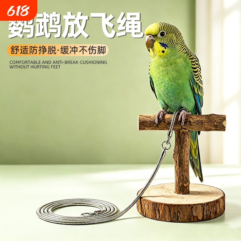 不锈钢鹦鹉脚链栓鸟遛鸟放飞绳合金脚环蛇骨绳牡丹玄凤脚环链子