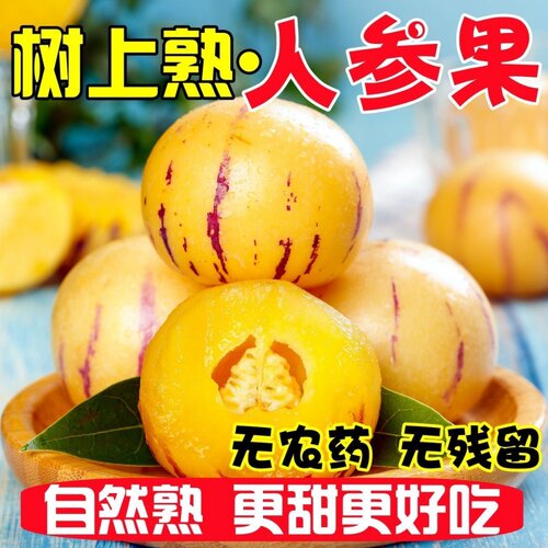 云南正宗人参果新鲜水果当季整箱树上熟黄果圆果新鲜人生果娃娃