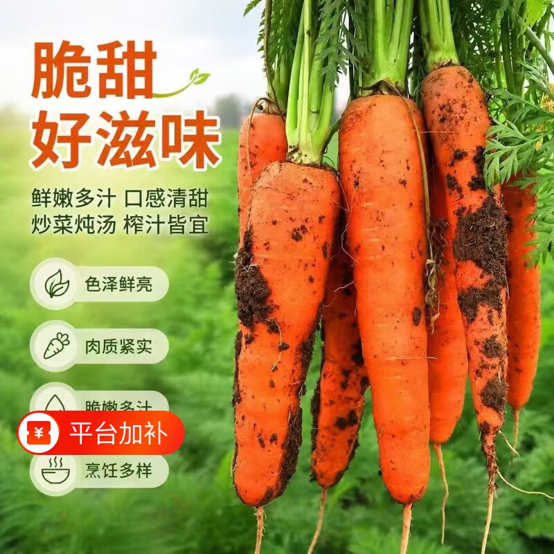山东胡萝卜新鲜蔬菜应季蔬菜带泥农家自种产地直发可生食9斤包邮