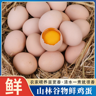 正宗农家鲜鸡蛋自养谷物鸡蛋50g草鸡蛋营养食材笨鸡蛋