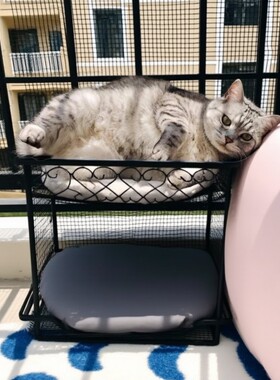 猫吊床猫咪床边挂床阳台悬挂猫窝挂架窗户窗台晒太阳栏杆护栏挂窝