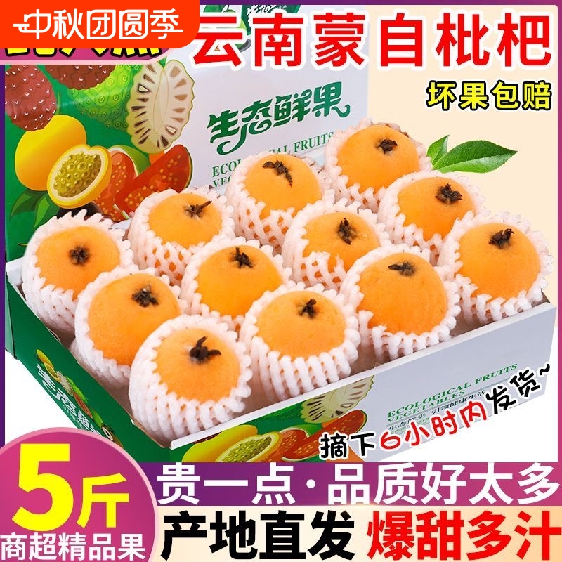 【甄选】云南蒙自枇杷鲜果琵琶水果应季新鲜甜孕妇当季新鲜整箱甜