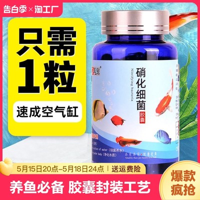 硝化细菌鱼缸净水剂养鱼用品