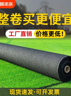 假草坪仿真绿色草皮地毯户外人造塑料垫子地垫阳光房屋顶隔热围挡