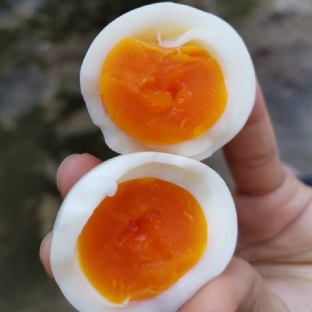 安徽皖南土鸡蛋九华山散养鸡蛋50枚产地直发送货上门江竹林蛋