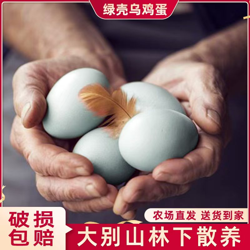 乌鸡蛋绿壳土鸡蛋农家散养土鸡蛋
