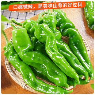 螺丝椒新鲜日期火锅爆辣麻辣辣椒龙椒