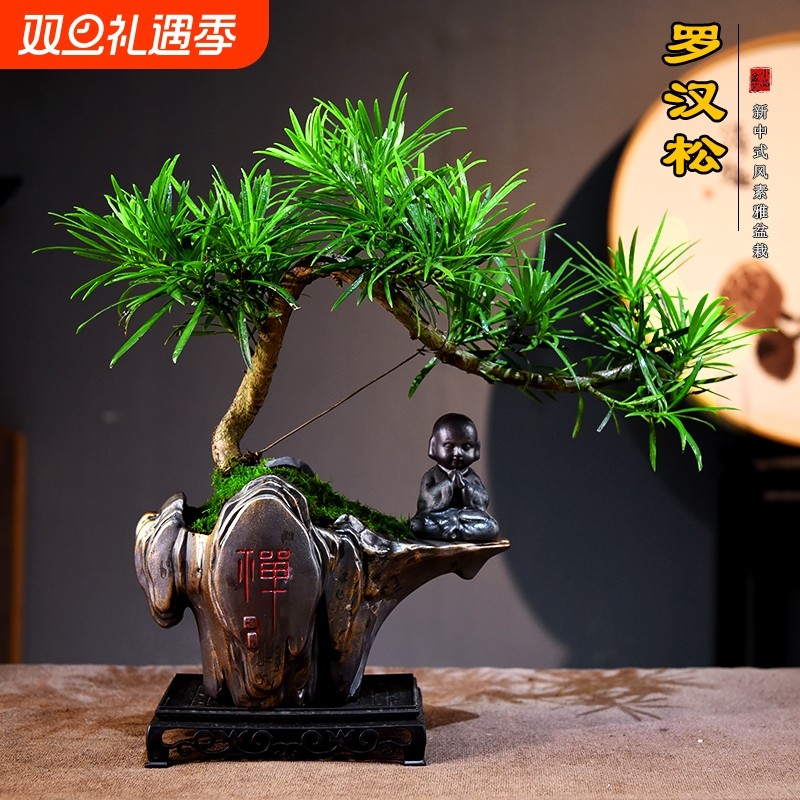 罗汉松盆景室内迎客松螺旋造型盆栽绿植客厅中式桌面观赏植物送礼