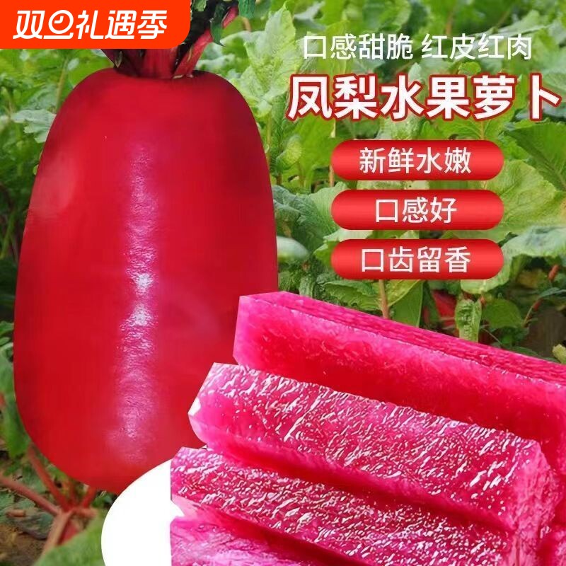 凤梨水果萝卜种子红皮红肉