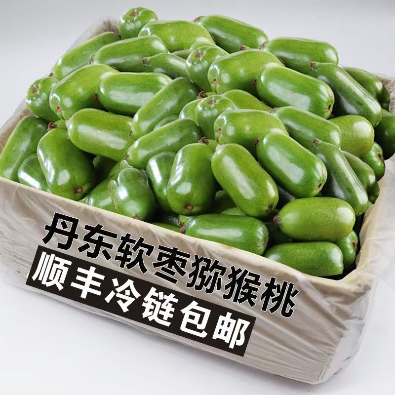 顺丰包邮正宗丹东软枣猕猴桃无毛奇异莓圆枣子新鲜孕妇水果奇异果