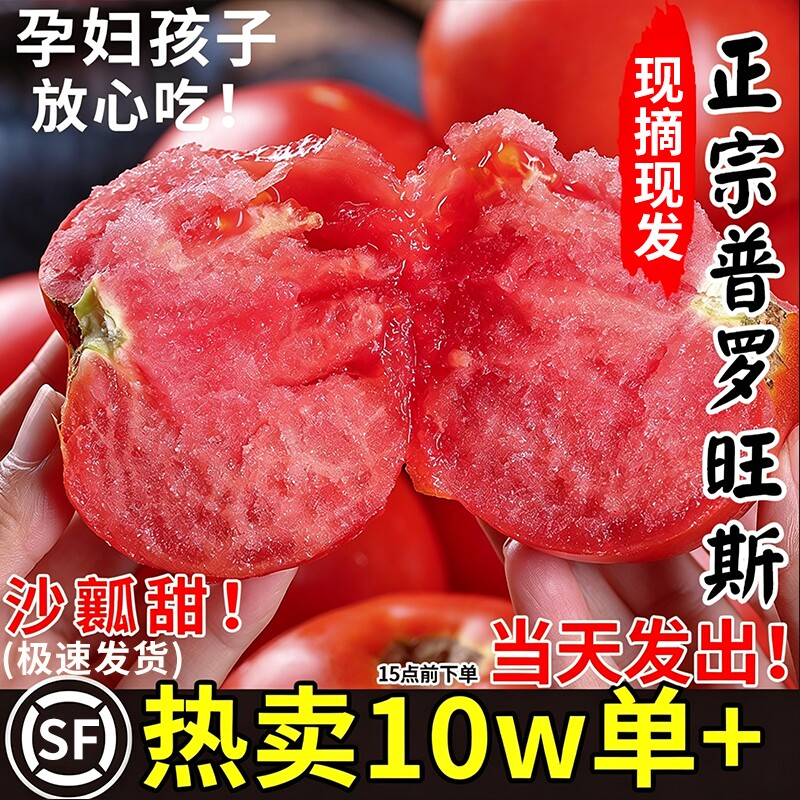 陕西泾阳普罗旺斯沙瓤西红柿新鲜自然熟当季孕妇水果生吃番茄蔬菜
