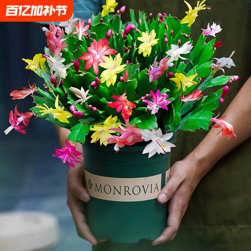 基地直销 新品特惠