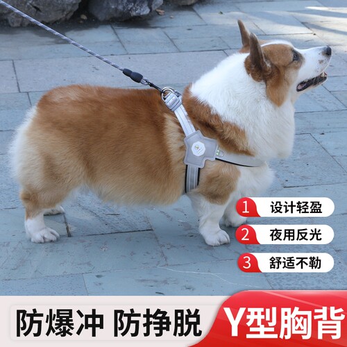 狗狗牵引绳Y型胸背带背心式宠物遛狗绳柴犬犬法斗柯基脖圈不勒脖