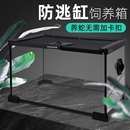 玻璃爬宠饲养箱雨林桌面生态缸蜥蜴睫角守宫角蛙宠物蛇饲养盒造景