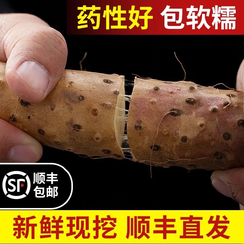 【顺丰包邮】铁棍山药正宗河南焦作温县正宗垆土铁棍怀山药特级