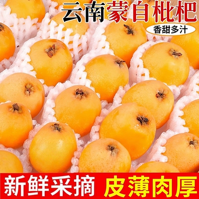 当季新鲜现摘正宗云南蒙自枇杷鲜果应季润肺水果整箱顺丰包邮源头