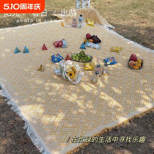 春游垫子野餐垫防潮垫加
