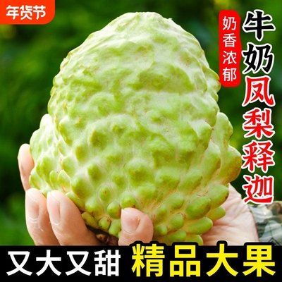 新鲜凤梨释迦果牛奶荔佛头摩尼果