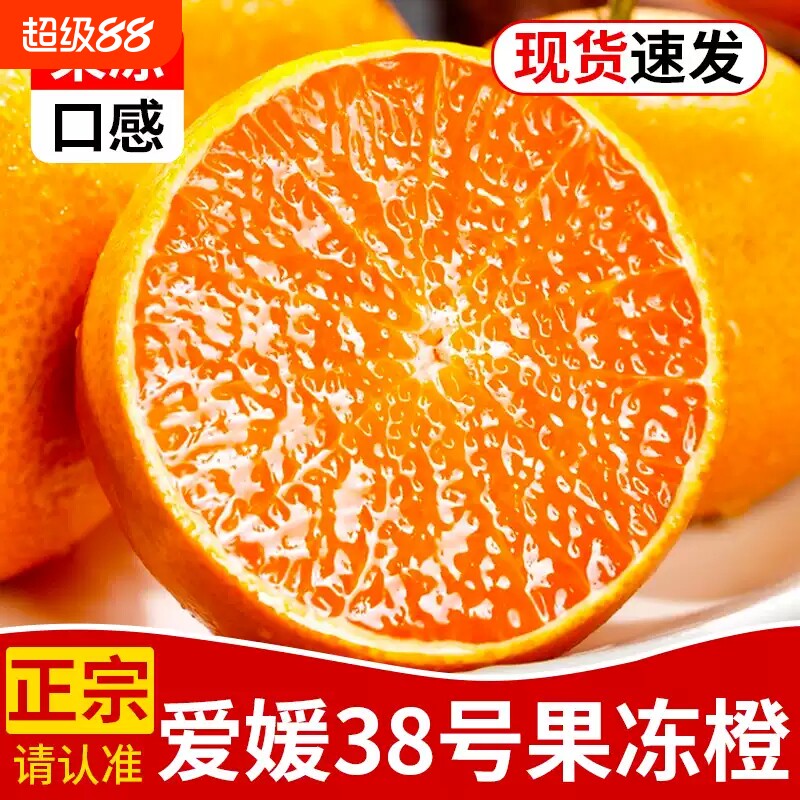 正宗爱媛38号果冻橙橙子图片