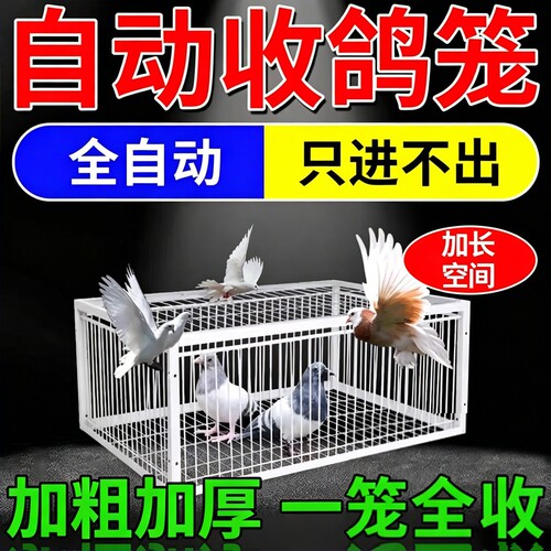 新款天落笼鸽子笼笼只进不出鸽神器收鸽子鸡笼活络门自动捕捉翻转