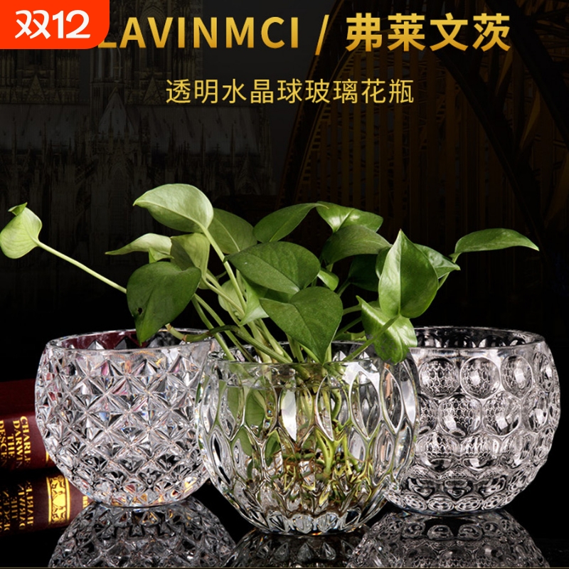 绿萝玻璃花瓶客厅水养插花摆件