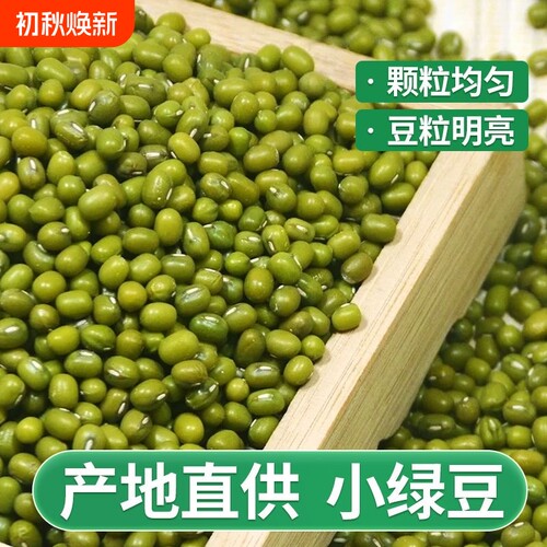 云南绿豆新货农家小绿豆汤种子绿豆糕清仓商用精品食用新鲜袋装