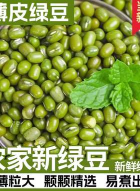 绿豆新货新鲜农家自产绿豆汤材料五谷杂粮农家自种食用精选当季